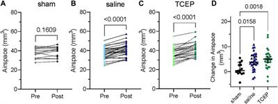 Mucolytic treatment of chronic rhinosinusitis in a murine model of primary ciliary dyskinesia